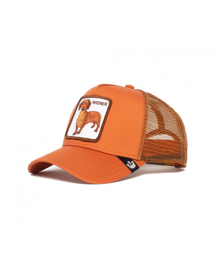 wiener dog hat