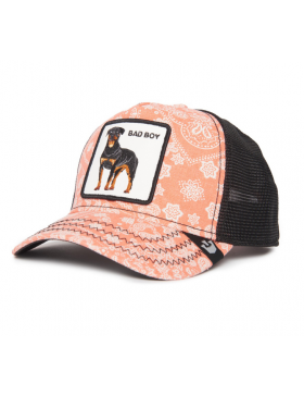 Goorin Bros. Lovesexy Trucker cap - Pink